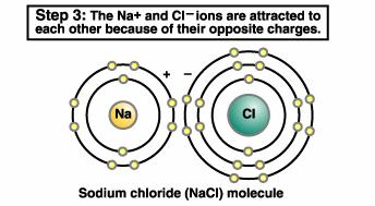 Ionic Bonding Ion: an atom or molecule that gains or loses electrons (acquires an