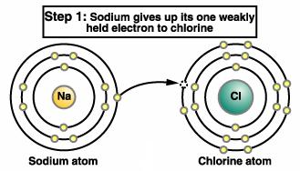 Ionic bonds are strong bonds formed when oppositely charged ions are attracted to