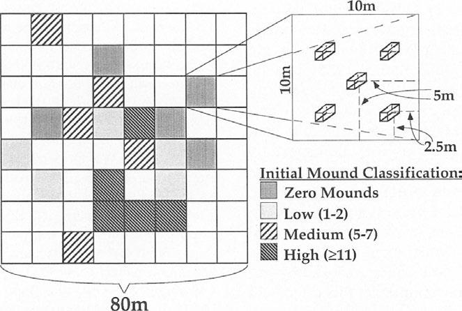 944 JOURNAL OF MAMMALOGY Vol. 79, No.3 10m 80m Initial Mound Classification: D Zero Mounds D Low (1-2) ~ Medium (5-7) ~ High (:~ 11) FIG. 1.-Live-trapping design for meadow voles for the N (North) plot on Anderson Prairie.