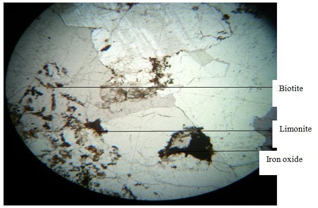 a. Minerals Observed Under Plane Polarized Light