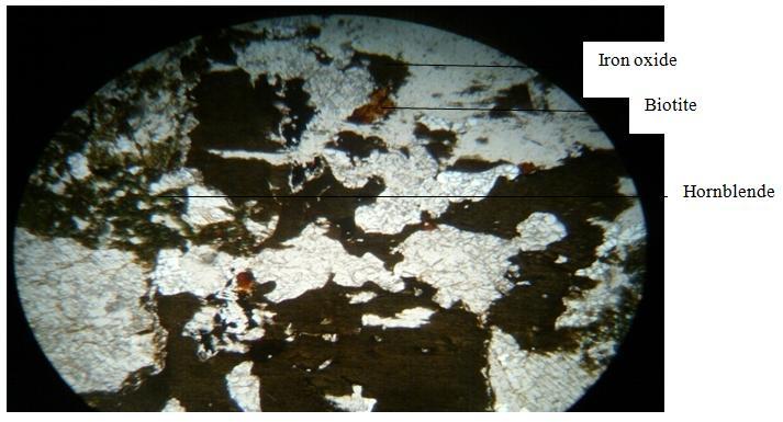 5: Microphotographs of Porphyritic Granite (Sample 1,