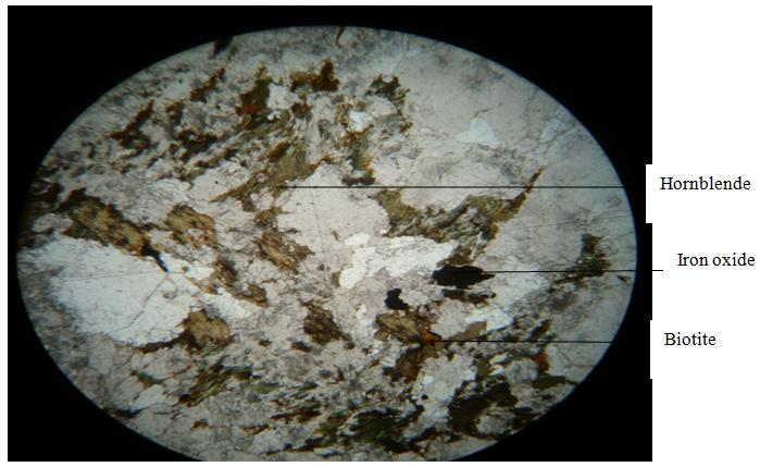 7: Microphotographs of Medium Grained Granite (Sample 9, Slide 9b) IV. Discussion A geologic map of the study area was produced on a scale of 1:50,000.