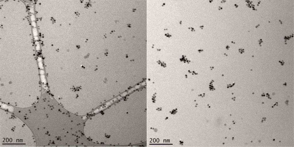 Assembly of spherical shaped nanoparticles Fig. S6 Synchrotron SAXS-patterns measured for spherical G73 nanoparticles at a concentration of 18 wt% in toluene at 0.0 T (left) and 0.98 T (right).
