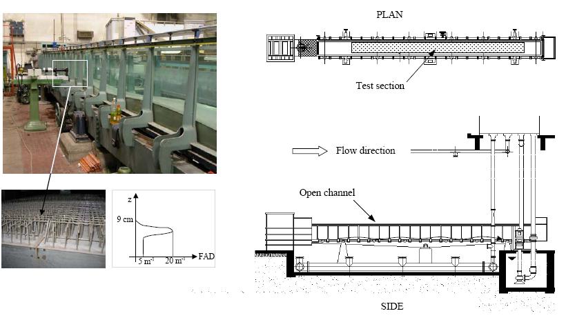 4. Water flume experiment over multiple hills covered with