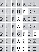 T PHYB1 T PHYB2 HKRD2 PAb A/2 COOH (b) (c) T PHYB1 A PHYA A PHYB A PHYD T PHYA T PHYB2 CHROMOPHORE HKRD1 HKRD2 NH 2 P P COOH MAb B1 MAb Pea 25 A PHYA A PHYB A PHYD T PHYA T PHYB1 T PHYB2 (d) Figure 2.