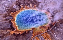 Domain: Archaea Kingdom: Archaebacteria Prokaryotic (some research suggests they are closer to eukaryotes based on gene comparison) Cell wall without