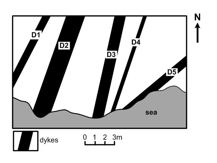 3 The simplified geological map below shows a small area of a beach on a Scottish island. This shows a number of discordant intrusions in the form of vertical dykes.