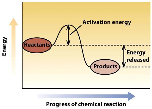 Energy and Chemical Reaction Chemical reactions: one substance is changed into another, release & store energy Reactants: molecules entering into the chemical reaction Products: changed molecules at