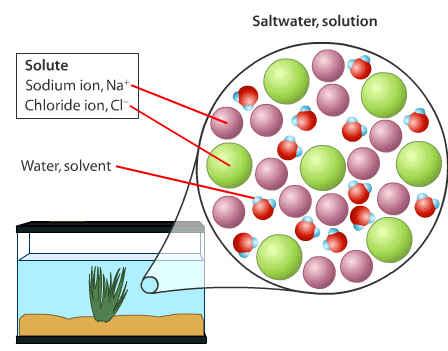 Solute is the substance dissolved in the solution Particles may be ions, atoms, or