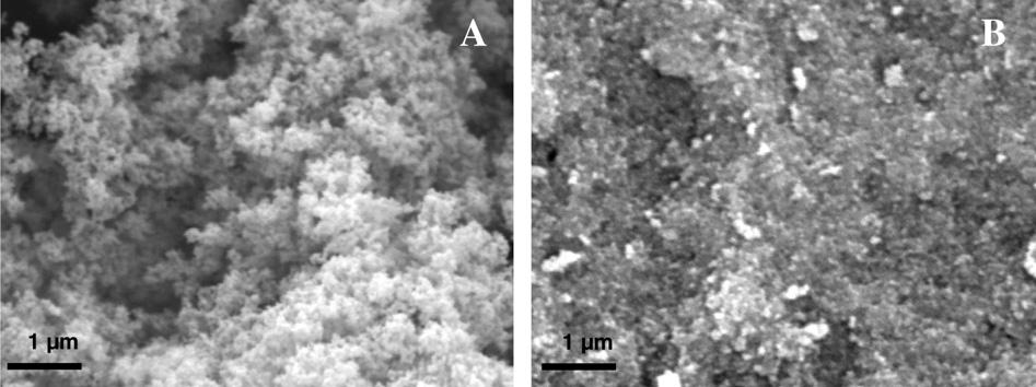 S. Ribbens et l. / Microporous nd Mesoporous Mterils 156 (2012) 62 72 71 Fig. 6. SEM: () P25 0 MP nd (b) P25 740 MP. section (Millenium PC500 Ò is chrcterized by very smll pores, see Fig. S8).