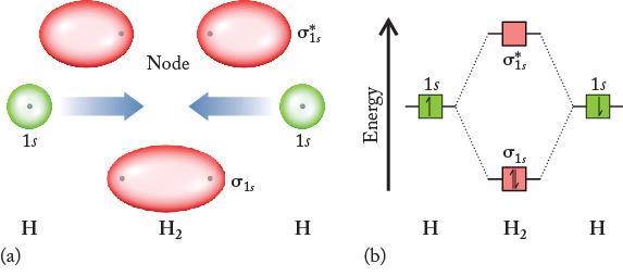 Molecular Orbitals in the H 2 Molecule The two electrons which used to be in the separate 1s orbitals now reside in the s bonding molecular orbital, resulting in a