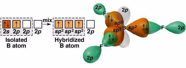 sp 2 Orbitals in BF 3 17 sp 2 Hybridization and p
