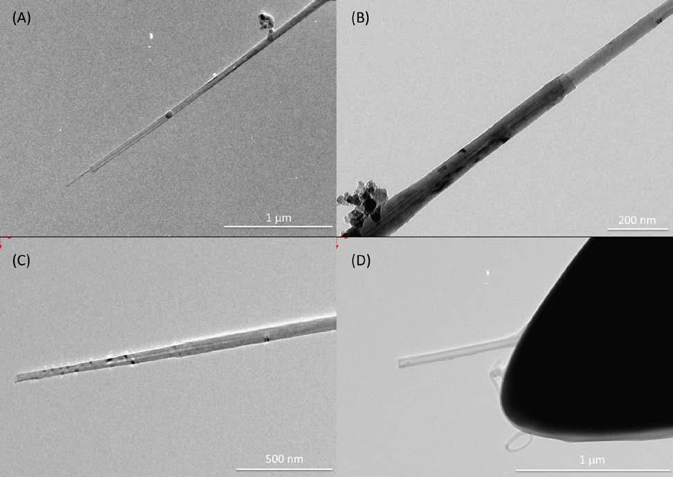 SUPPLEMENTARY INFORMATION Figure 2: Post mortem images of Nanotubes : (A) BNNT1, intershell radius R=25 nm ; (B) BNNT2, intershell radius R=25 nm ; (C) BNNT1, intershell radius R=10 nm ; (D) CNT,