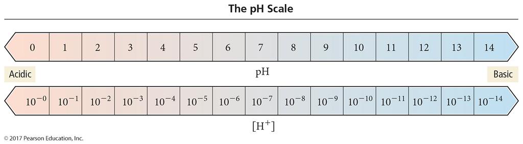 ph scale Pure water: ph = 7 (at 25 oc) Acidic solution: ph < 7 (poh > 7) Basic solution: ph > 7