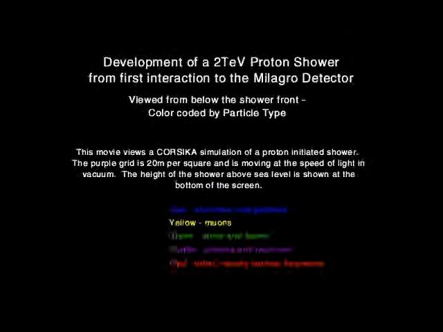 Proton Shower 2 TeV (movies by Miguel Morales) Blue Electrons Muons