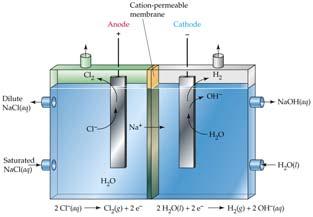 Electrolysis of Aqueous NaCl Sodium ions act as a spectator ion and is not involved in the electrode reactions.