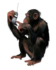 2005 13731 human-chimpanzee orthologous