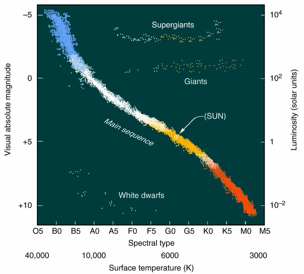 Groups on the HR diagram: - Main Sequence - Red Giants - White Dwarfs - Supergiants In general: (90% of all stars)