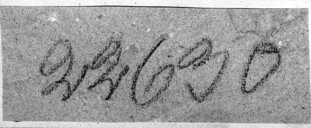 CREMERS & BOUDRIE: GLAZIOU S PTERIDOPHYTE COLLECTION 171 Figure 3. Label written by Glaziou, with his original data: specimen Glaziou 5244 (P00625687), isosyntype of Alsophila decipiens Fée.