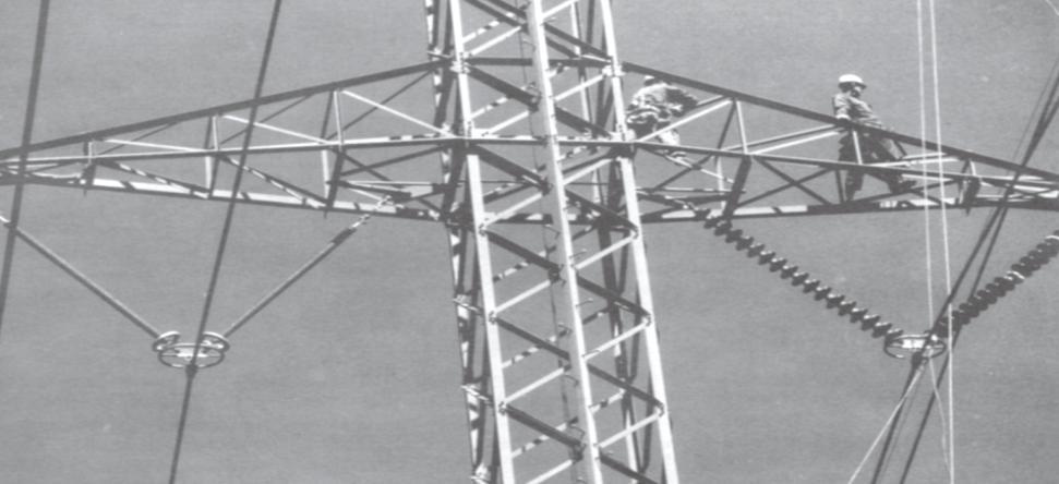 Figure 5-1 A composite insulator and polymer insulator on same tower 6 Compact transmission lines also require phase-to-phase spacers be placed on the conductors along the mid-span to damp the