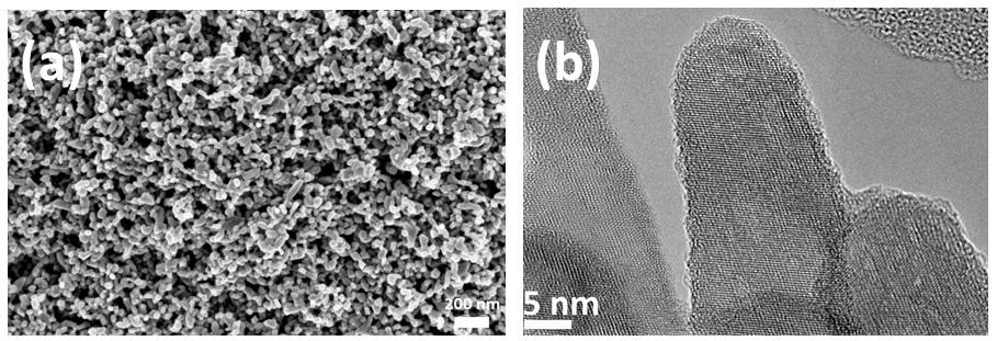 Figure 5: (a) SEM image of CCR 200 BS monocrystalline rutile nanoparticles and (b) TEM image of an individual rutile monocrystalline nanoparticle.