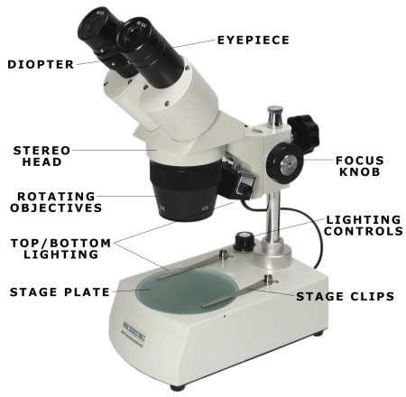 1.5 Parts of a stereomicroscope