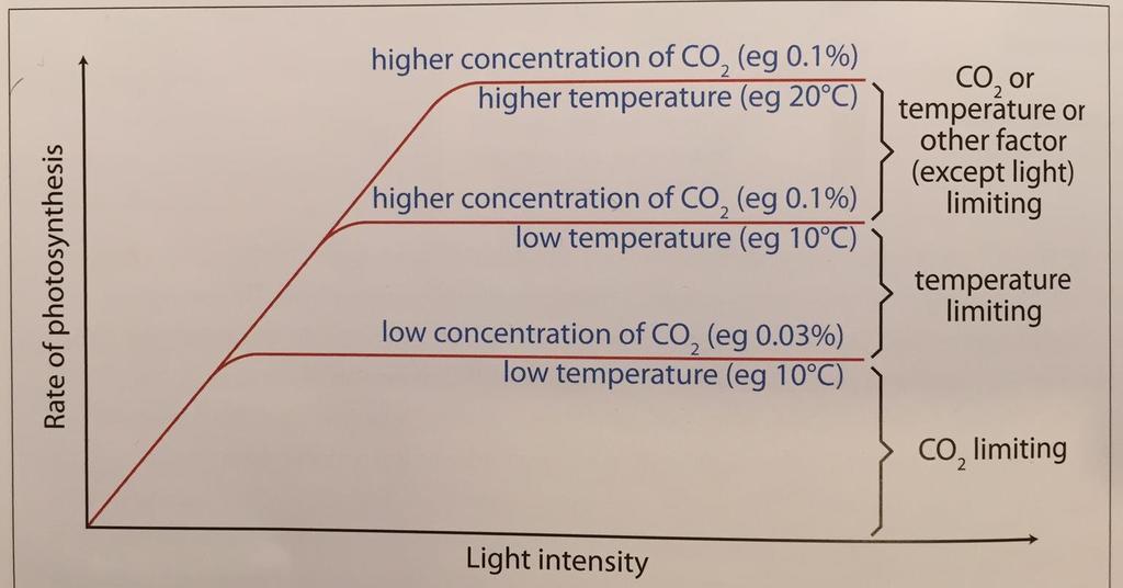 All 3 graphs show that at low Light intensity the rate of PS is low and light is the limiting factor, IRRESPECTIVE OF THE CO2 CONC OR TEMP.