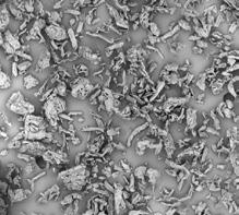 FIGURE 7: Scanning electron microscopy images of the host powders d50 particle size Lactose 13 Microcrystalline Cellulose 14