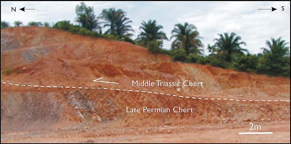 CONCLUSIONS Figure 4: The north-south section of the outcrop showing northwards thrusting faults.
