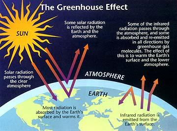 The Greenhouse Effect at the Molecular Level The greenhouse effect is examined at the molecular level for CO and H O in terms of the absorption and reemission of radiation.