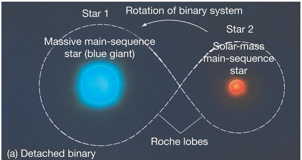 The Evolution of Binary-Star Systems As the stars evolve, their binary system type can