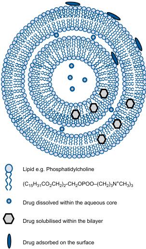 Pharmaceutical application of colloidal systems Liposomes Liposomes are synthetic spherical vesicles consisting of an aqueous core surrounded by one or more concentrically arranged bilayer membranes.