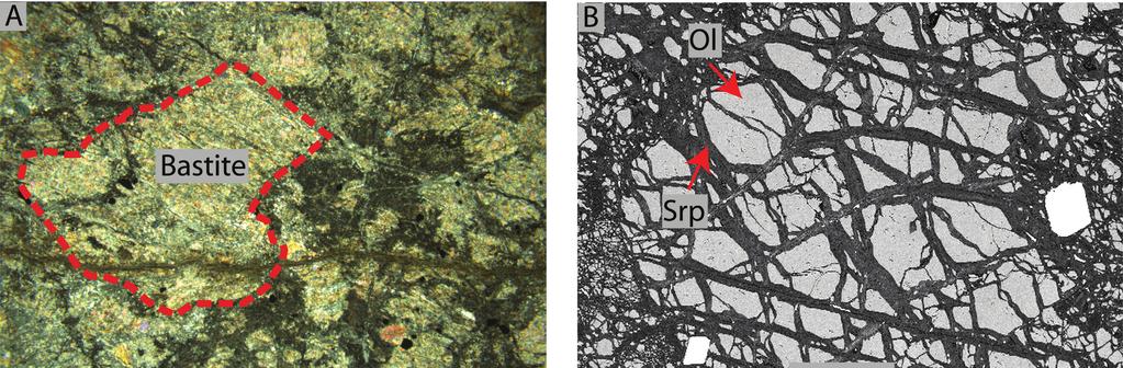 Figure 4.A. Photomicrograph of a bastite formed after orthopyroxene. Talc and serpentine replace the orthopyroxene grain preserving the grain boundaries. B. BSE image of mesh texture in a dunite.