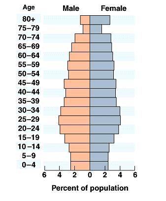 Constrictive Pyramids Constrictive population pyramids are used to describe populations that are elderly and shrinking. They typically look like a beehive, with the graph tapering in at the bottom.