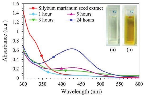 Figure 3: UV vis spectra showing absorption recorded as a function of 10 3 M aqueous solution of silver nitrate with S. marianum seed extract as a function of time. (a) Color of S.