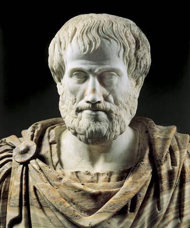 Aristotle 384 BCE Studied a very wide variety of sciences. These sciences include logic, philosophy, ethics, physics, biology, psychology, politics, and rhetoric.