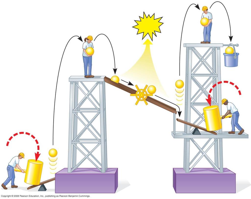 Electron Energy Levels ATP e e e e e e NADPH