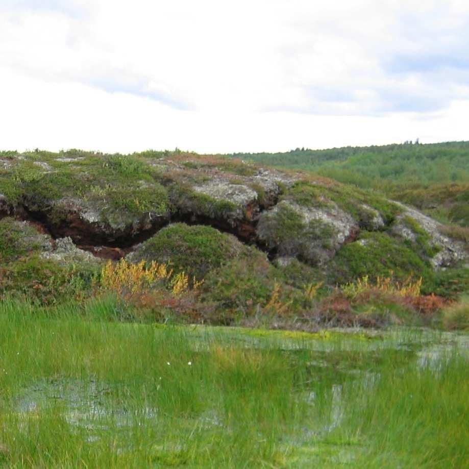 Palsas in northern Finland From the Lapp for a mound in a peat bog Contain a segregated ice