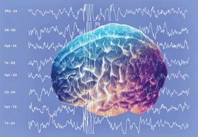 Chaos in Nature Brain waves (Reference: Rhythms of the