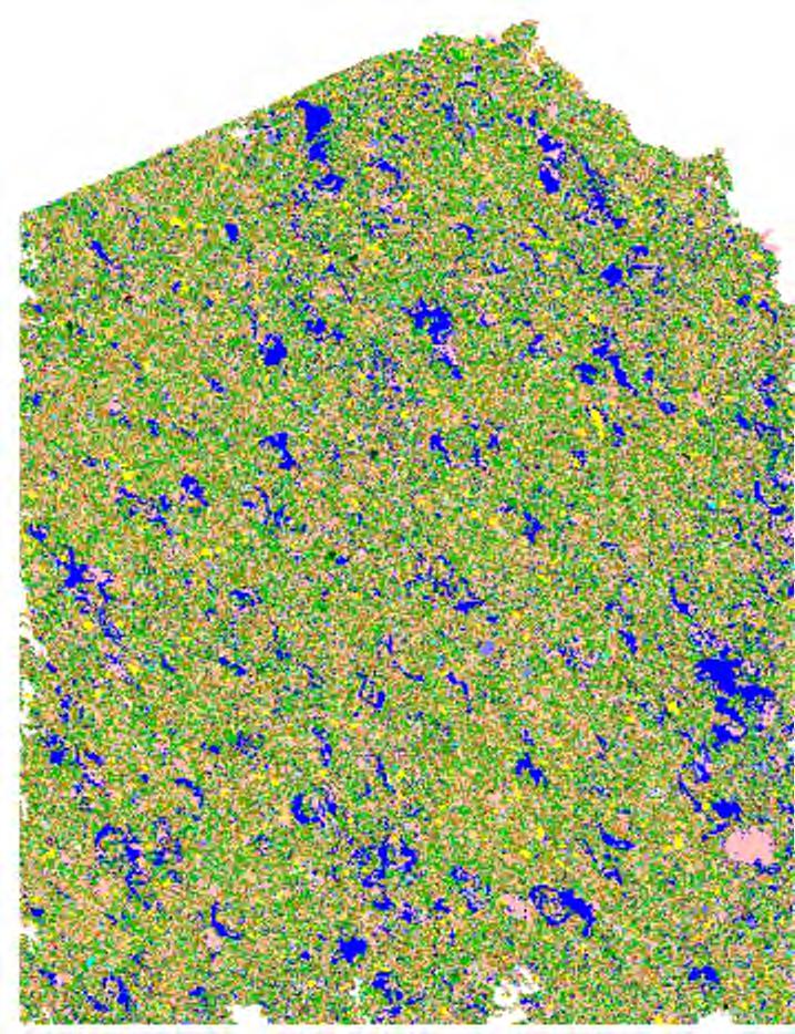 High Resolution Mineral Mapping and Porosity: Spatial Relevance Colo rs Mineral Vol% FI 10 Quartz 0.33 K-Feldspar 0.24 Plagioclase 0.06 Calcite 0.02 Dolomite 58.39 Siderite 0.