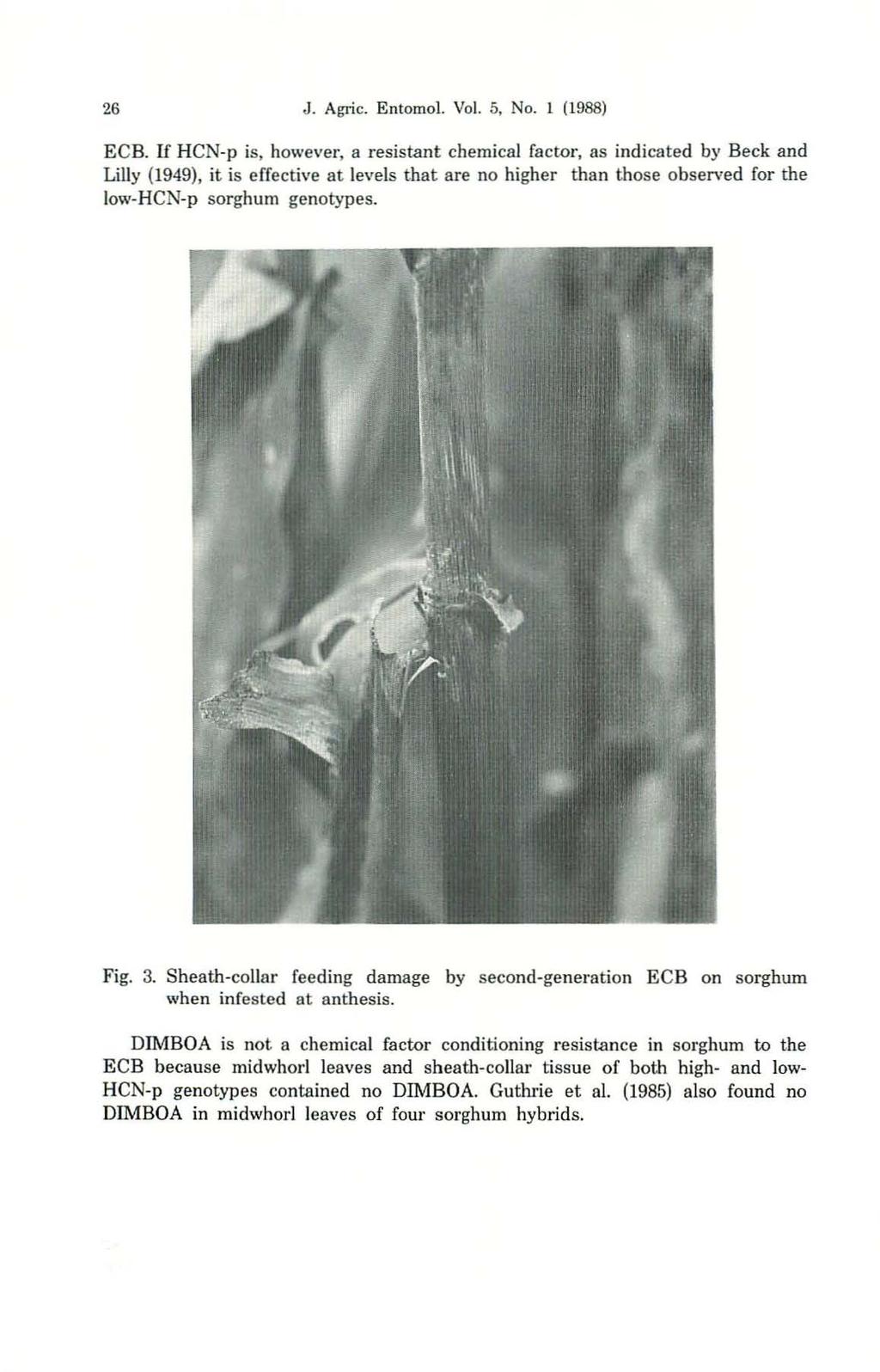 26 J. Agric. Entomol. Vol. 5. No. 1 (1988) ECa.