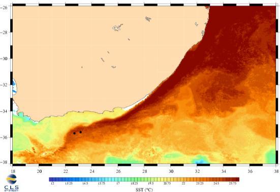 Sea Surface Temperature To locate fronts To