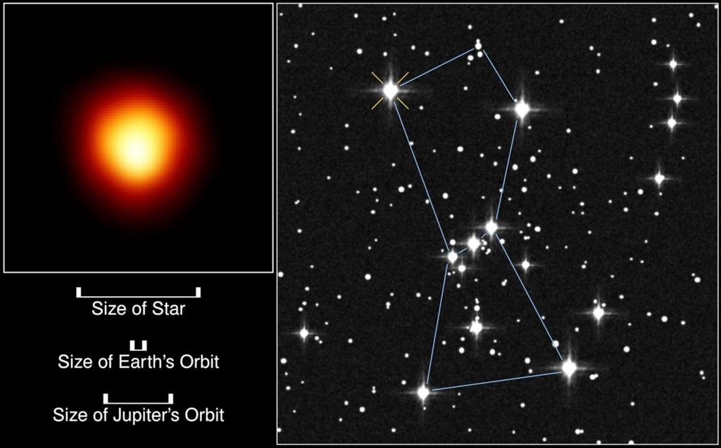 The Red Supergiant Betelgeuse (Alpha Orionis) First resolved image of a star