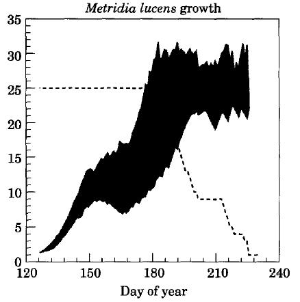 [Batchelder and Williams, 1995]: Results Growth of 25