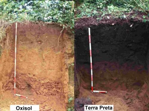 Chemical and physical properties of soils Color: dark or light Dark soils tend to be