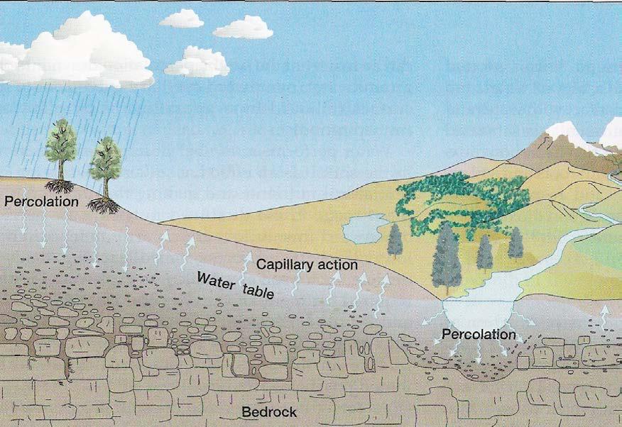 groundwater If soil is contaminated, leaching will
