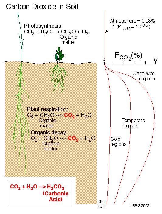 Processes - Hydrolysis decomposition of minerals in water as hydrogen ions replace cations in minerals pure water is a poor H+ donor, however CO 2 dissolves in water to produce carbonic acid: CO 2 +