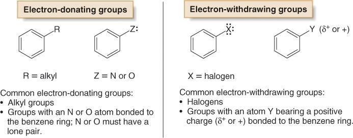 These compounds represent examples of the general structural
