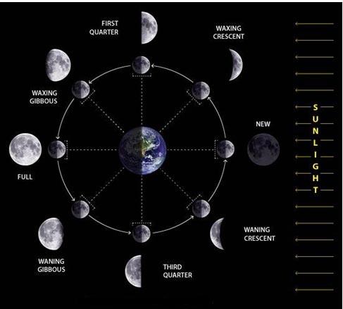 -The cycle starts with the new moon and goes counter clockwise.