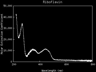 The electromagnetic spectrum Absorbance vs. wavelength λ (nm) ε (M -1 cm -1 ) 266.50 nm 33000 349.00! 11138 445.25!